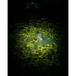 Lampe Frontale Nash Moonshine Micro Lite -Matériel Soldes Magasin lampe frontale nash moonshine micro lite 5